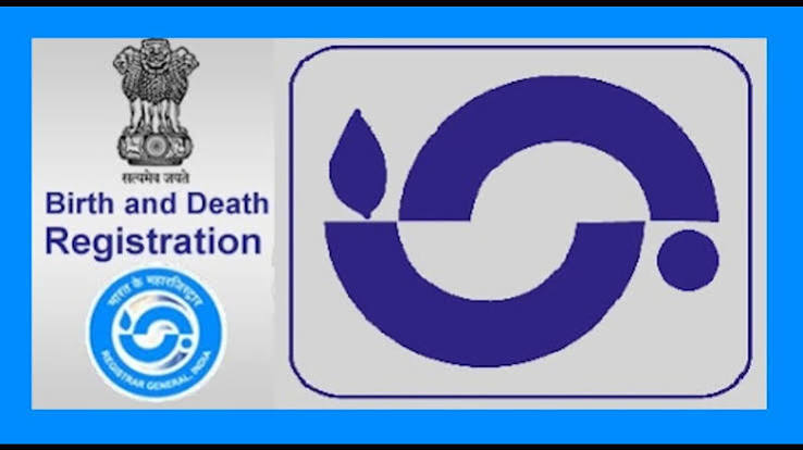 Original Birth Certificate PDF Download